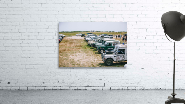 SF1A7155 Wall Preview
