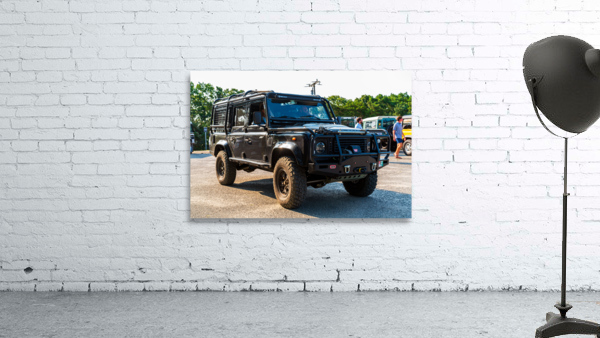 MJD06177 Wall Preview