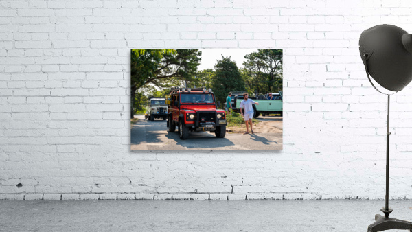MJD06222 Wall Preview