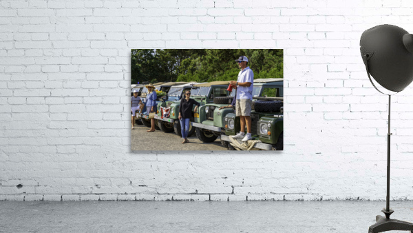 MJD06251 Wall Preview