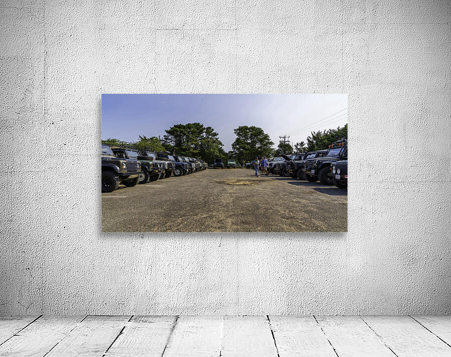 MJD06267 Wall Preview