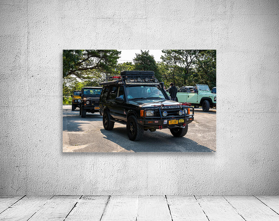 MJD06214 Wall Preview