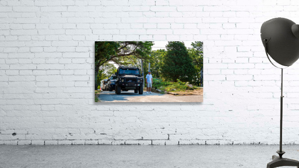 MJD06170 Wall Preview