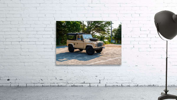 MJD06151 Wall Preview