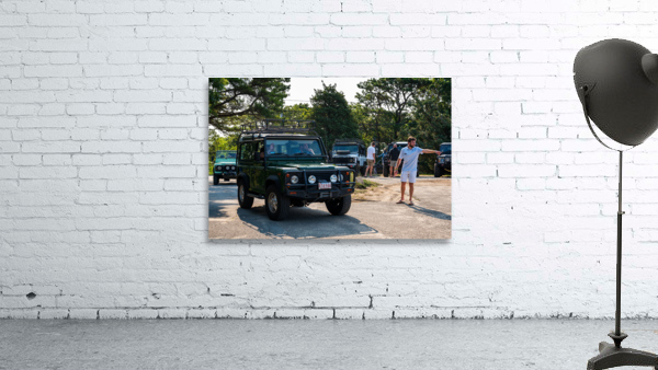 MJD06206 Wall Preview