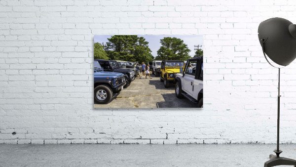 MJD06283 Wall Preview