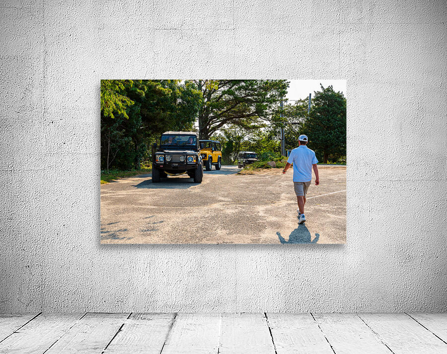 MJD06160 Wall Preview