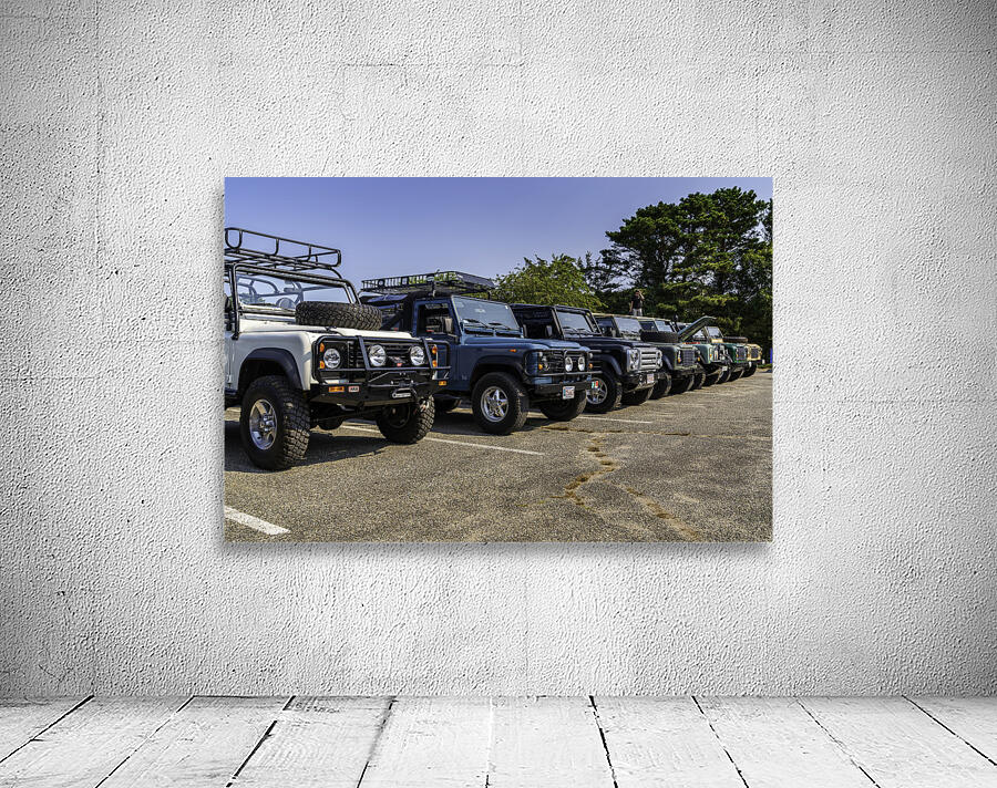MJD06265 Wall Preview