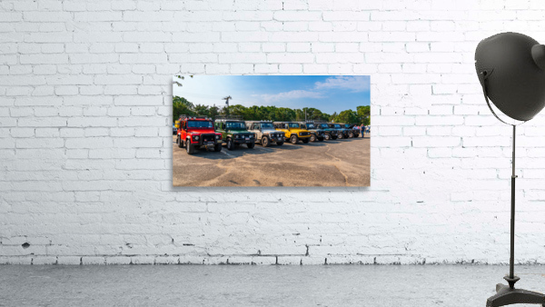 MJD06241 Wall Preview