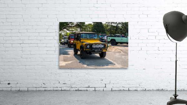 MJD06219 Wall Preview