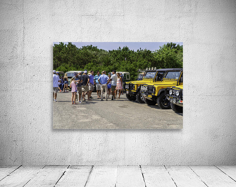MJD06296 Wall Preview