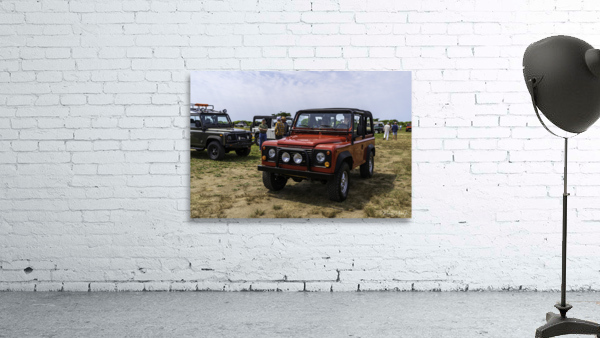 MJD06360 Wall Preview