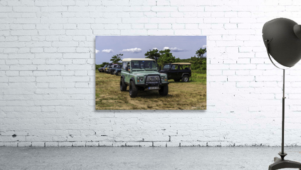 MJD06349 Wall Preview