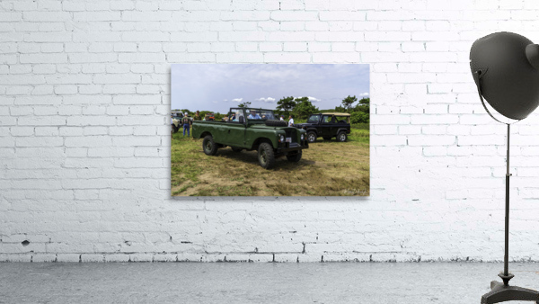 MJD06364 Wall Preview