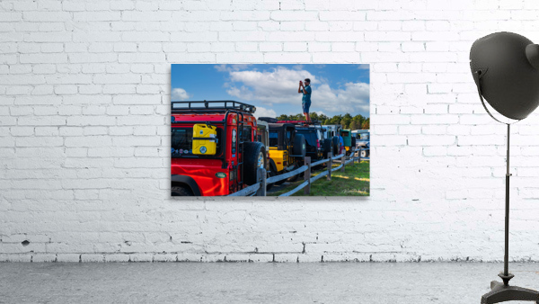 MJD05626 Wall Preview