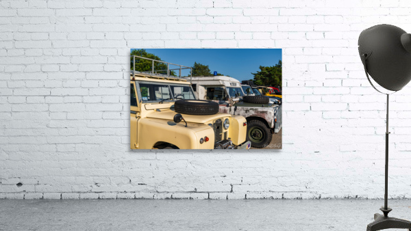 MJD05742 Wall Preview