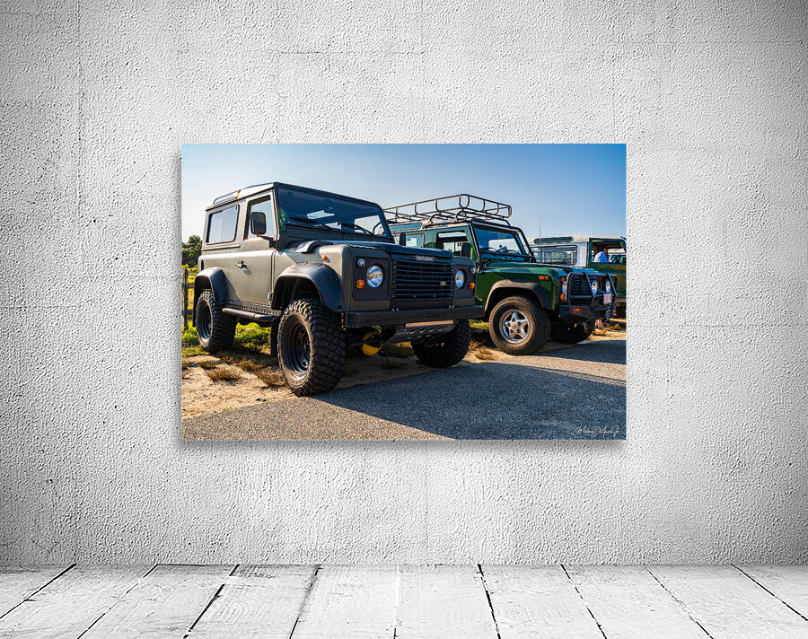 MJD05745 Wall Preview