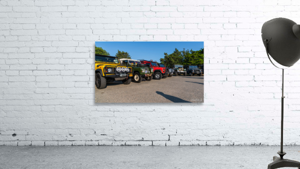 MJD05601 Wall Preview