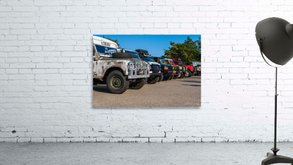 MJD05580 Wall Preview