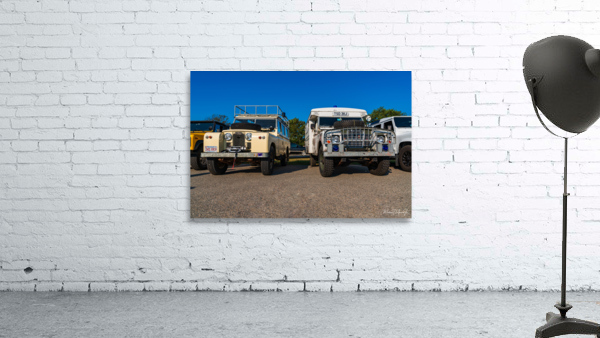 MJD05673 Wall Preview