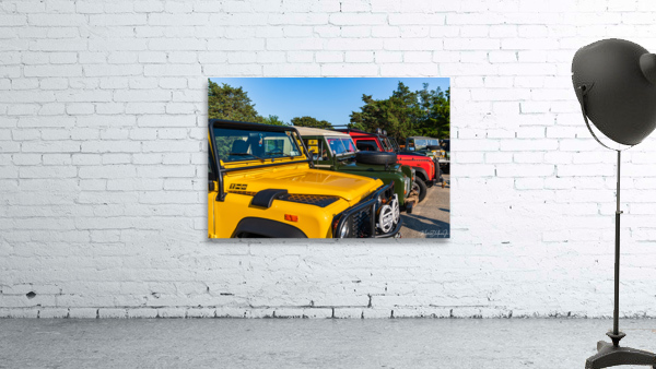 MJD05657 Wall Preview