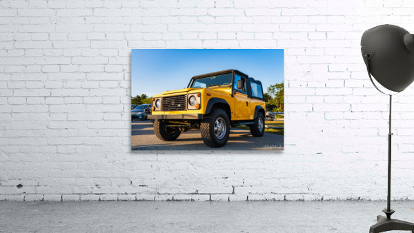 MJD05833 Wall Preview