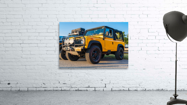 MJD05859 Wall Preview