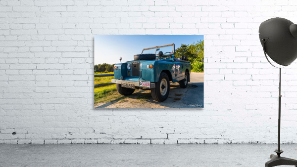 MJD05709 Wall Preview
