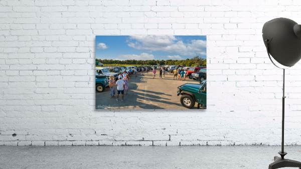MJD05796 Wall Preview