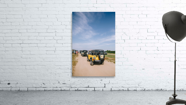 4J3A1802 Wall Preview