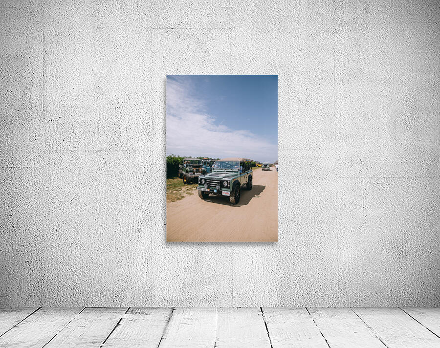 4J3A2178 Wall Preview