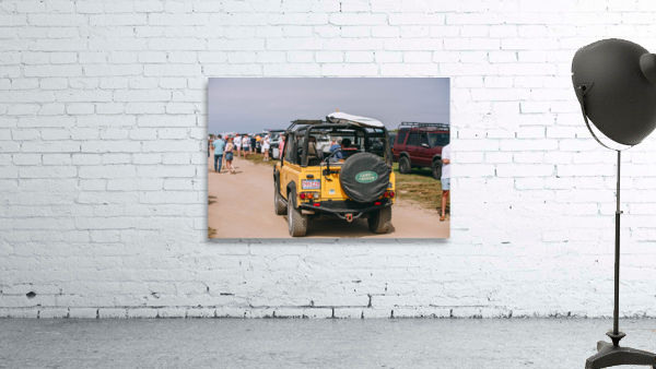 SF1A0282 Wall Preview