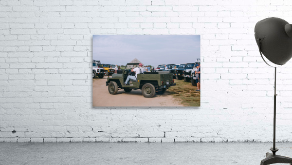 SF1A0173 Wall Preview