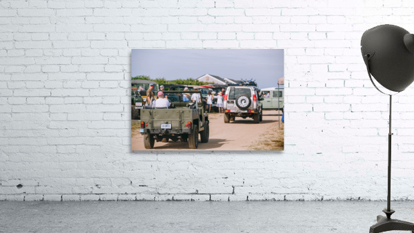 SF1A0170 Wall Preview