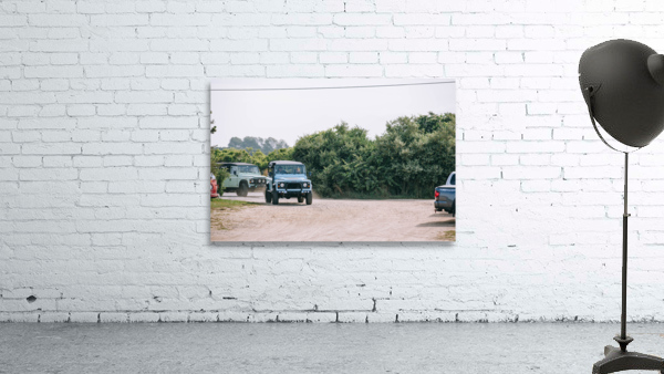 SF1A0194 Wall Preview