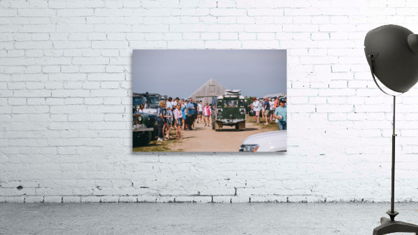 SF1A0271 Wall Preview