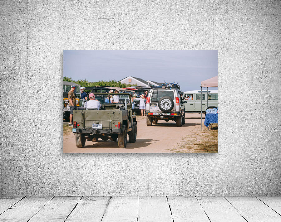 SF1A0171 Wall Preview