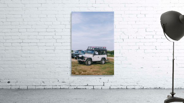SF1A0134 Wall Preview