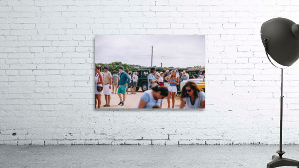 SF1A0439 Wall Preview