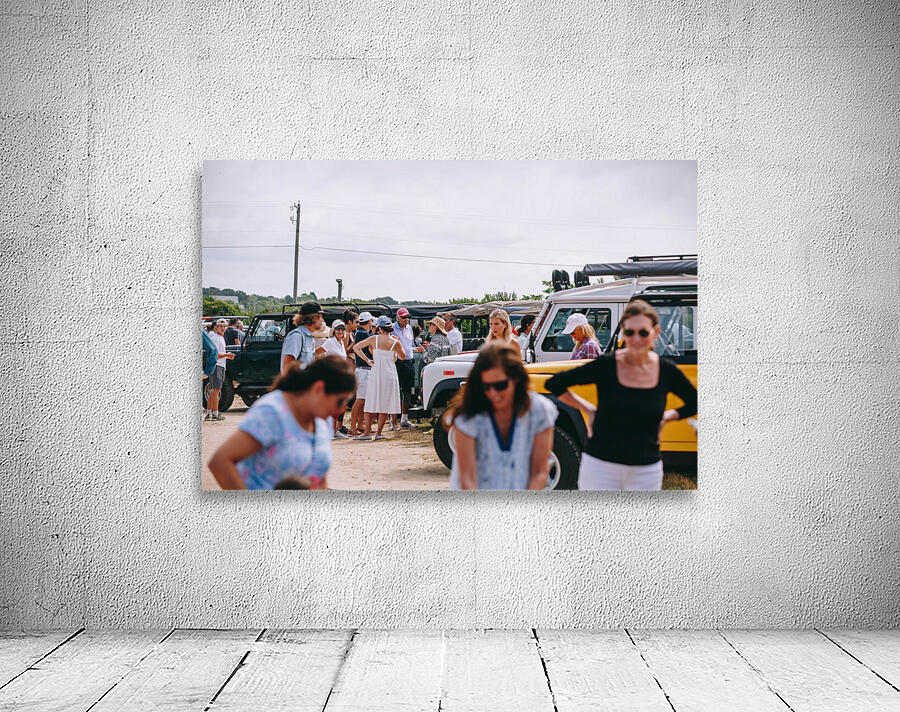 SF1A0436 Wall Preview