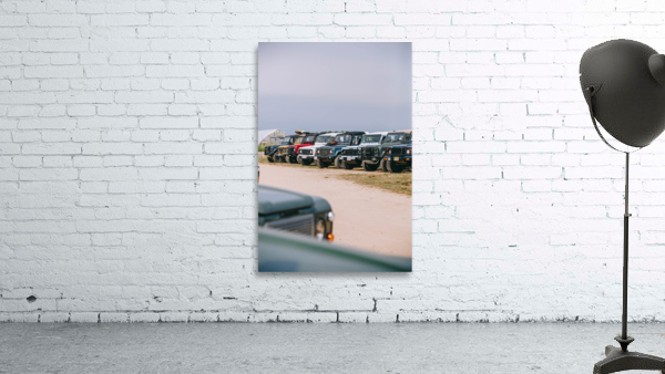 SF1A0416 Wall Preview