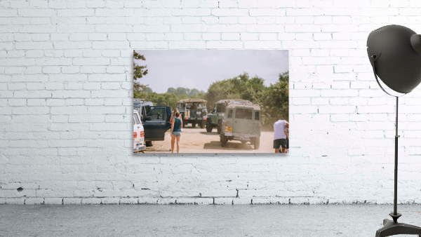 SF1A0542 Wall Preview