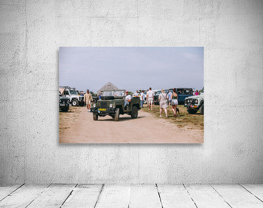 SF1A0512 Wall Preview
