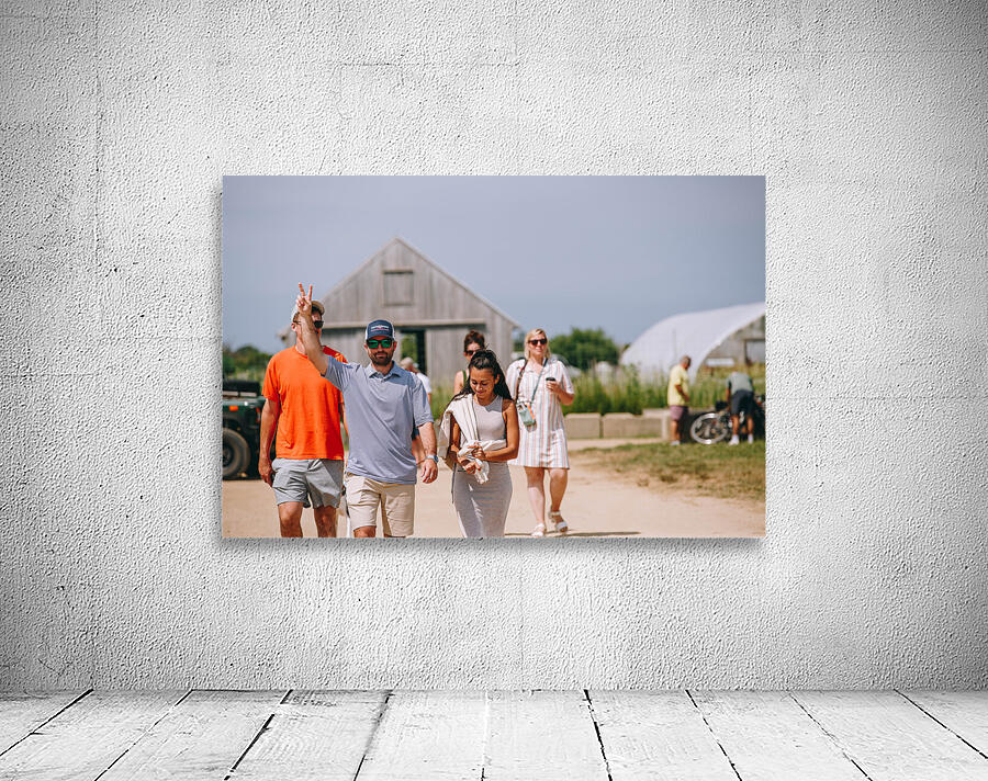 SF1A0547 Wall Preview