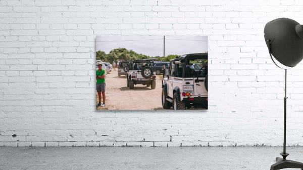 SF1A0491 Wall Preview