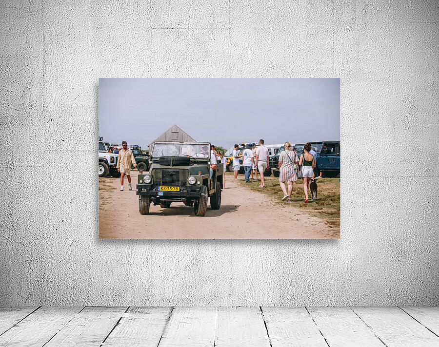 SF1A0514 Wall Preview