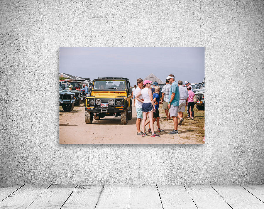 SF1A0447 Wall Preview