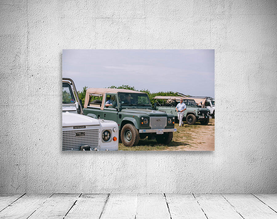 SF1A0506 Wall Preview