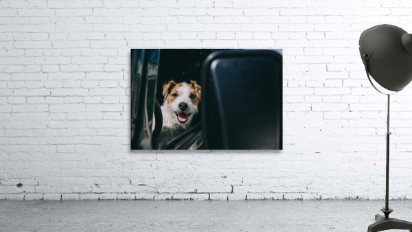 SF1A0608 Wall Preview