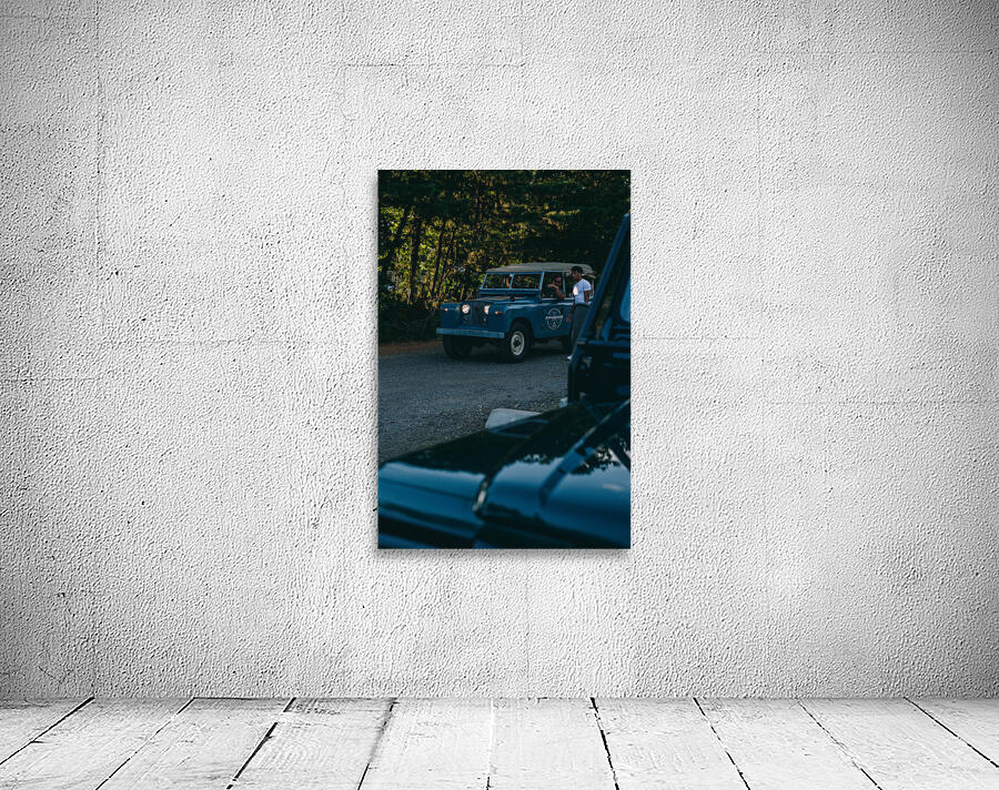 SF1A0662 Wall Preview